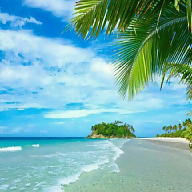 Daniela01 Dany avatar