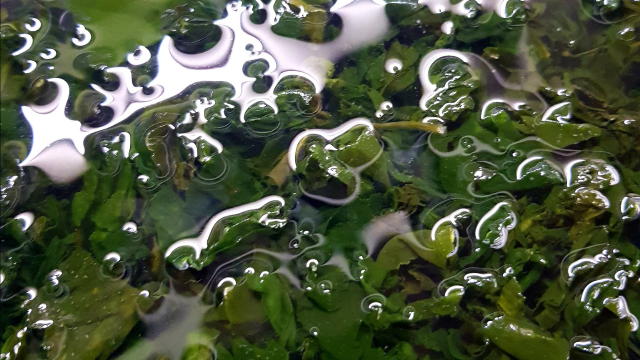 ере. пусть полежит минут 20-30.