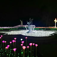 Kaja Kołodziejczyk avatar