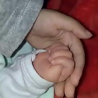 shimaa hussien avatar