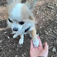 Tereza Dostálová avatar