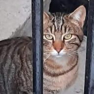 Νεφέλη Κουκάρα avatar