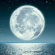 katia Costantini avatar