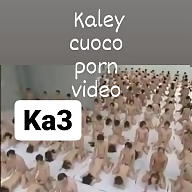 Stjepan Arnold avatar