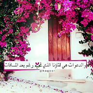 ضلام. اليل avatar