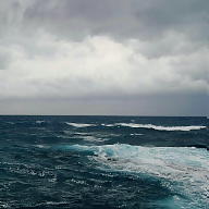 Matilde Braghieri avatar