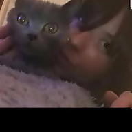 incucinaconV. avatar